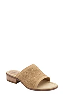 David Tate Premium Slide Sandal at Nordstrom,