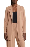 AllSaints Aleida Blazer at Nordstrom,