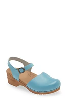 Sanita Sansi Clog at Nordstrom,