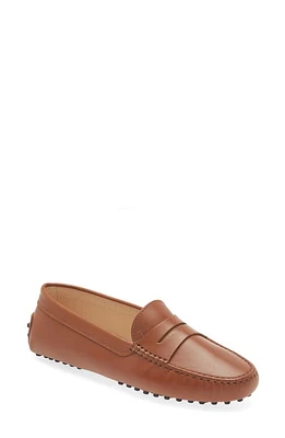 Tod's Driving Penny Loafer Brandy Scuro at Nordstrom,