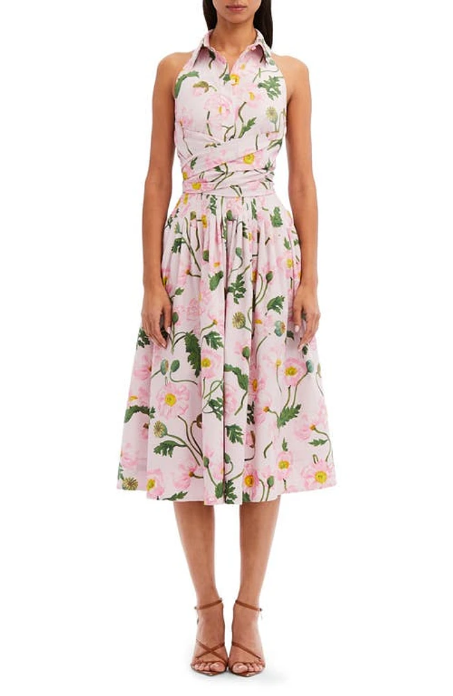 Oscar de la Renta Painted Poppies Stretch Cotton Poplin Halter Shirtdress Pink/Soft Pink at Nordstrom,