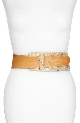 Raina Vixen Leather Belt in Carmel at Nordstrom, Size Medium