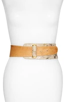 Raina Vixen Leather Belt in Carmel at Nordstrom, Size Medium