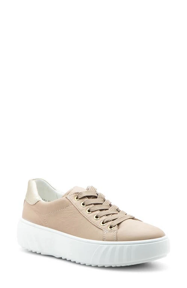 ara Mikky Platform Sneaker in Sand/Platinum at Nordstrom, Size 7