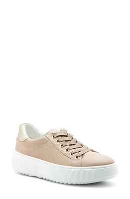 ara Mikky Platform Sneaker in Sand/Platinum at Nordstrom, Size 7