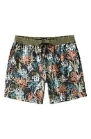 Billabong Coral Garden Layback Swim Trunks Green Multi at Nordstrom,