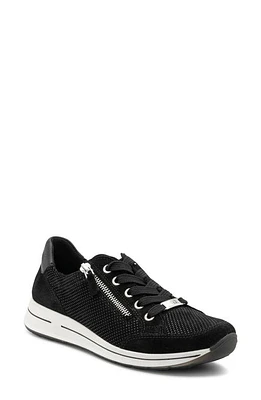 ara Oleanna Zip Sneaker Black Puntikid at Nordstrom,