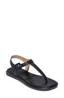 BERNARDO FOOTWEAR Tucson Sandal at Nordstrom,