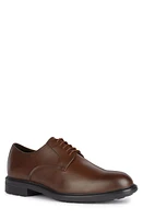 Geox Walk Pleasure Water Resistant Derby Cognac at Nordstrom,