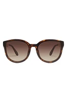 Quay Australia Date Night 54mm Round Sunglasses in Neutral Tortoise /Brown at Nordstrom