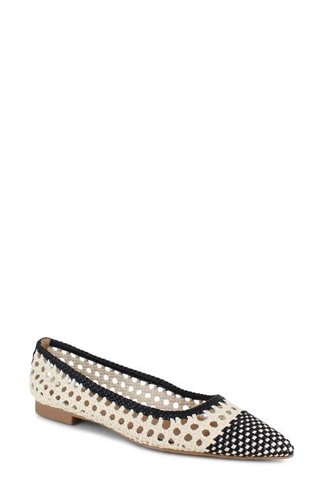 Splendid Nelly Pointed Toe Flat Black/Oat at Nordstrom,