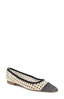 Splendid Nelly Pointed Toe Flat Black/Oat at Nordstrom,