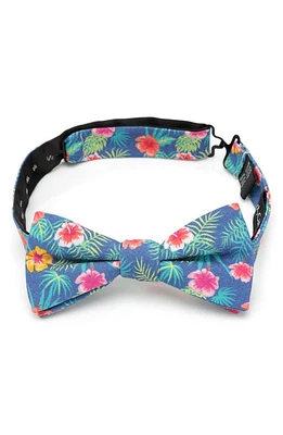 Cufflinks, Inc. Tropical Cotton Bow Tie in Multi at Nordstrom