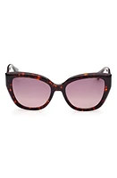 Max Mara 54mm Cat Eye Sunglasses in Shiny Red Havana /Bordeaux at Nordstrom