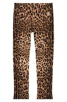 Dolce & Gabbana Kids' Leopard Print Leggings in Hk93M Leo Fdo Nocciola at Nordstrom, Size 4Y