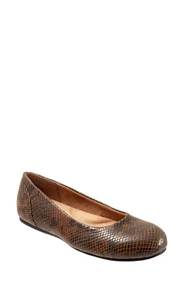 SoftWalk Sonoma Flat Brown Snake Print Leather at Nordstrom,