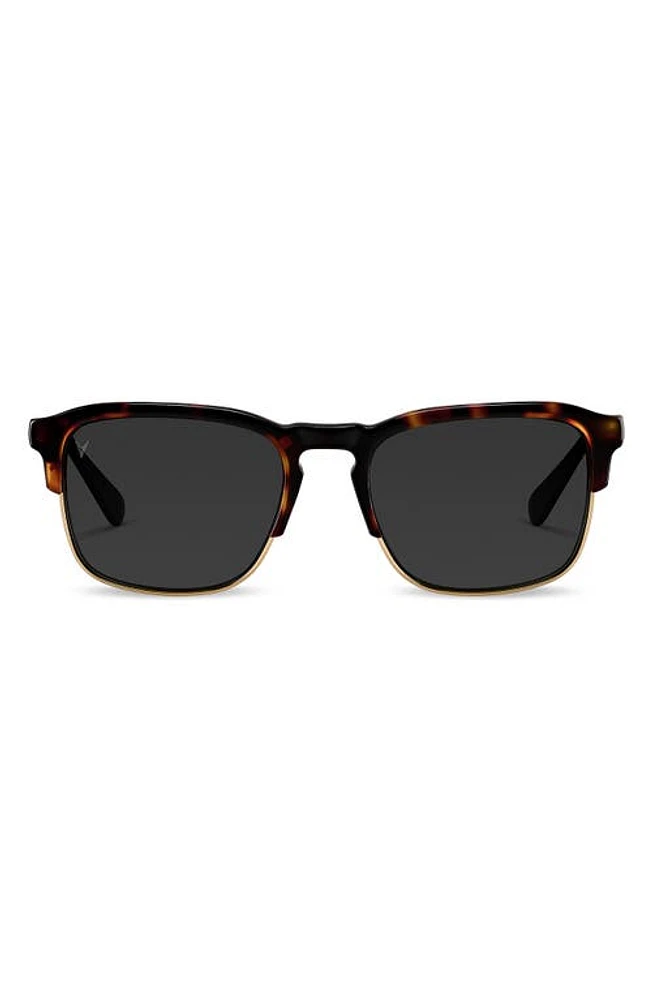 Vincero Villa 53mm Polarized Browline Sunglasses in Tortoise/Black at Nordstrom