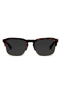 Vincero Villa 53mm Polarized Browline Sunglasses in Tortoise/Black at Nordstrom