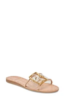 Dolce Vita Dasa Slide Sandal at Nordstrom,