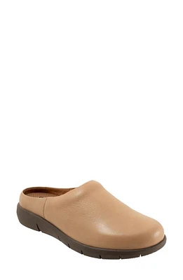 SoftWalk Andria Mule Beige at Nordstrom,