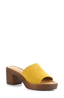 Bos. & Co. Wanda Platform Slide Sandal Yellow Suede at Nordstrom,