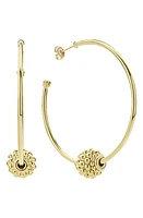 LAGOS Caviar Gold Medium Hoop Earrings at Nordstrom