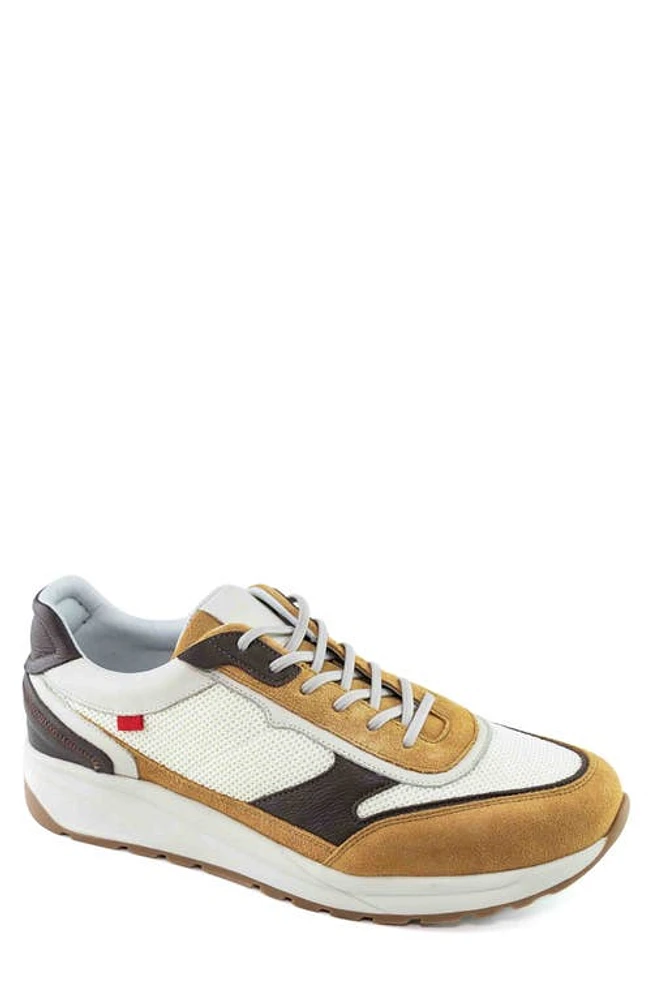 Marc Joseph New York Alex Cir Sneaker Cafe And Birch at Nordstrom,