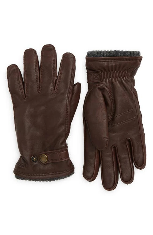 Hestra Utsjo Leather Gloves in Espresso at Nordstrom, Size Small