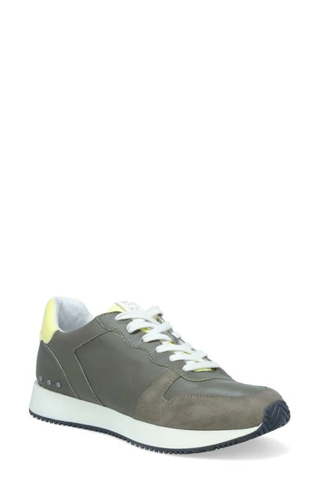 Miz Mooz Rialto Mixed Media Sneaker in Olive at Nordstrom, Size 9.5