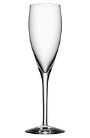 Orrefors More Set of 4 Champagne Flutes in White at Nordstrom