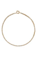 IVI Los Angeles Slim Signore Chain Choker in Yellow Gold at Nordstrom, Size 16