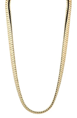 Nadri Omega Chain Collar Necklace in Gold at Nordstrom