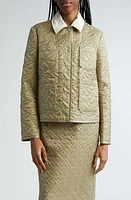 Moncler Varede Quilted Nylon Shacket Light Sage at Nordstrom,