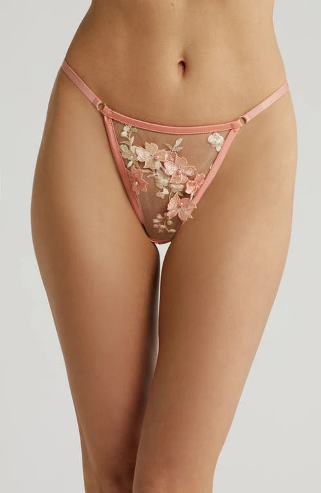 KILO BRAVA Embroidered Mesh G-String Peachy Pink at Nordstrom,