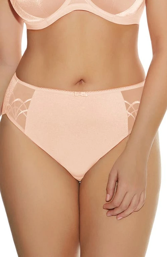 Elomi Cate Full Figure Briefs at Nordstrom,