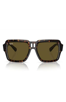 Ray-Ban Magellan 54mm Square Sunglasses in Havana at Nordstrom