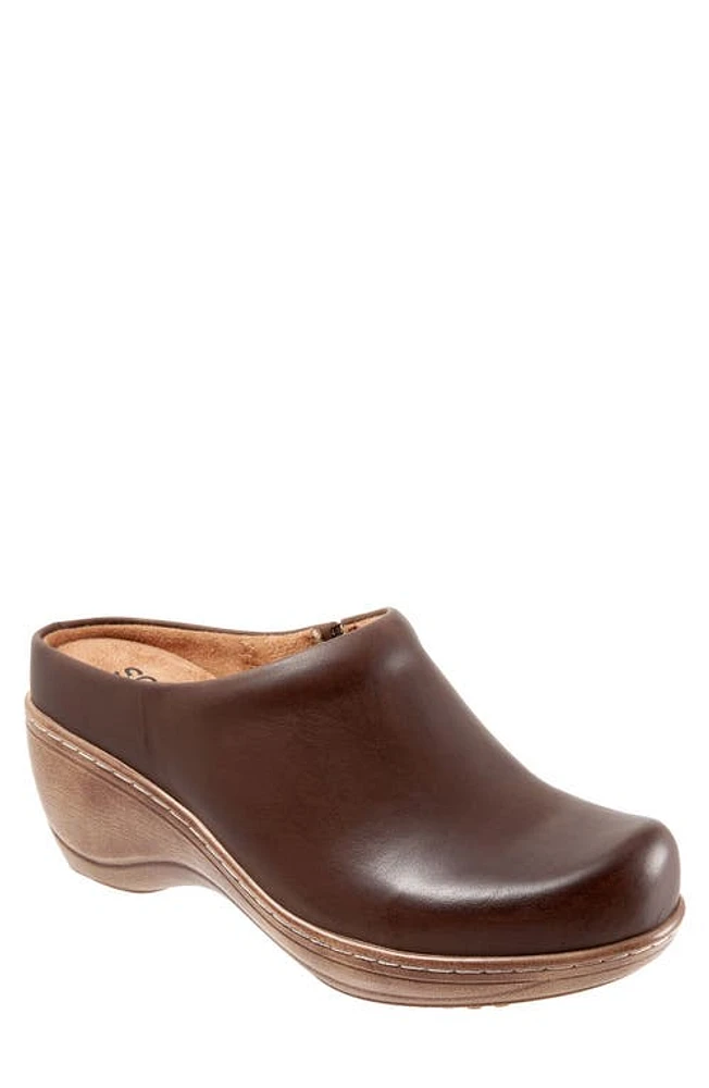 SoftWalk Madison Clog Dark Brown at Nordstrom,