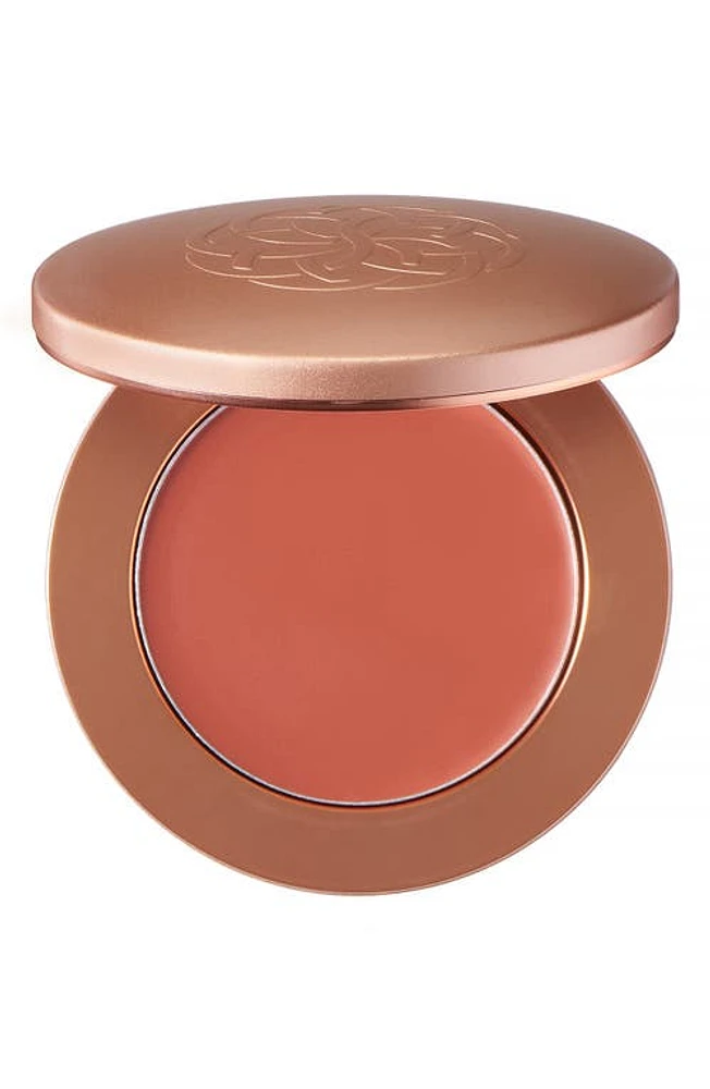 YENSA Super Serum Silk Cream Blush in Ginger Blaze at Nordstrom