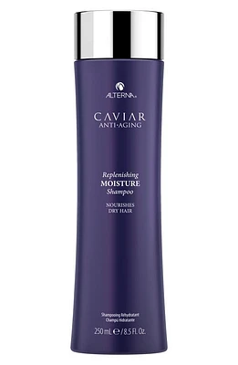 ALTERNA Caviar Anti-Aging Replenishing Moisture Shampoo at Nordstrom