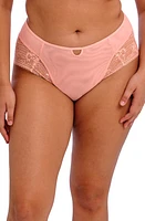 Elomi Kendra Full Briefs at Nordstrom,