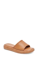 Dolce Vita Aisha Platform Slide Sandal Leather at Nordstrom,