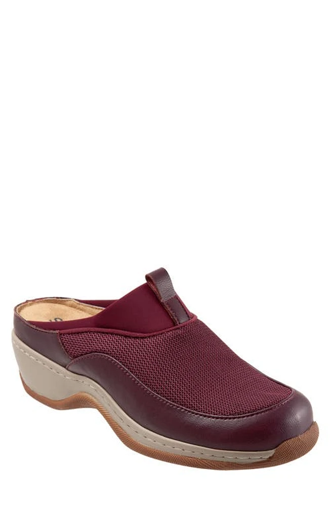 SoftWalk Aberdeen Mule Burgandy at Nordstrom,