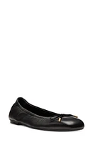 Stuart Weitzman Bow Flat at Nordstrom,