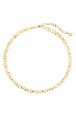 Brook and York Brynn Choker Necklace in Gold at Nordstrom