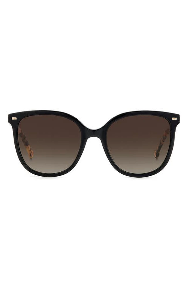 Carolina Herrera 55mm Round Sunglasses in Black Havana at Nordstrom