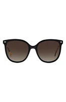 Carolina Herrera 55mm Round Sunglasses in Black Havana at Nordstrom