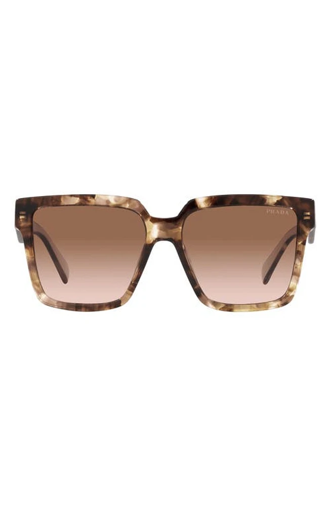 Prada 56mm Square Sunglasses in Brown Tort at Nordstrom