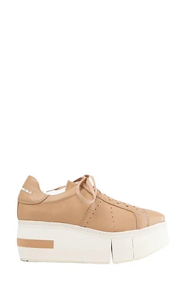 Paloma Barcelo Mirande Sneaker in Pastelbrown/Nocciola at Nordstrom, Size 10Us