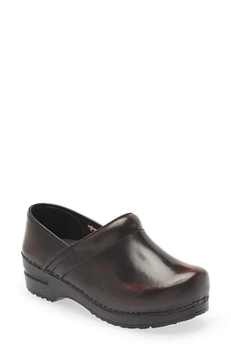 Sanita Professional Cabrio Clog at Nordstrom