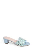 patricia green Harper Raffia Slide Sandal at Nordstrom,